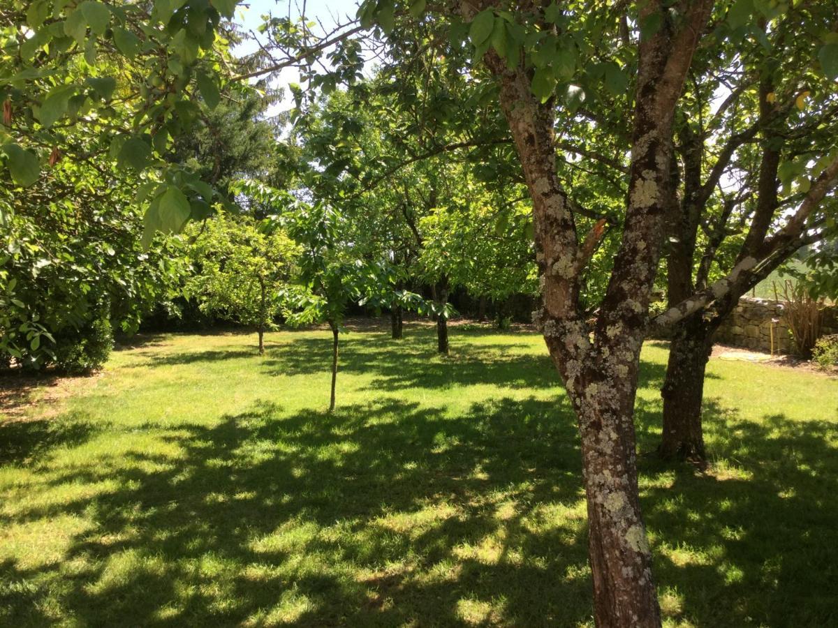 Les Noyers Aulnay Bed & Breakfast Aulnay  Dış mekan fotoğraf